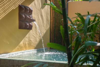 A tranquil wall fountain flows into a serene pool, surrounded by lush greenery and warm sunlight.